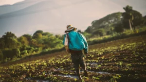 eco-friendly fertilizer