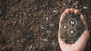 A hand holding dirt with periodic elements labeled in hexagons - representing slow-release fertilizer elements