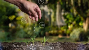 Hand sprinkling Cytopower and Multimax organic fertilizer over a soil bed with green shoots, accompanied by some scientific elements notations for potassium, sodium, and nitrogen