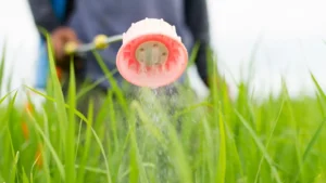 foliar fertilizer being sprayed from a nozzle on a hose