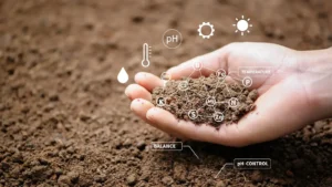 Top view of soil in hands for check the quality of the soil for control soil quality before seed planting
